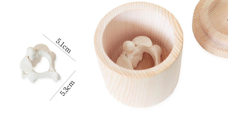 喉仏が入るひのきの骨壷の納骨容量
